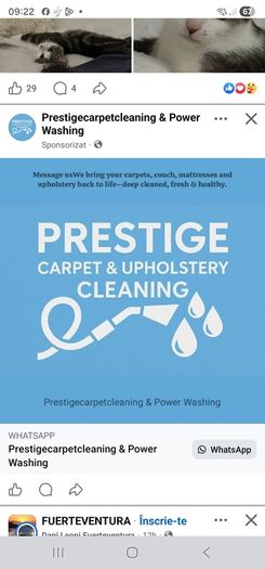 Professional Carpet and Upholstery Cleaning