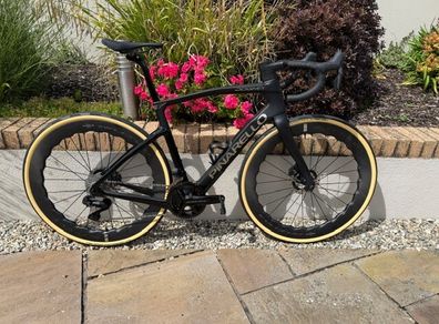Pinarello Dogma GR