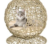 Wicker Cat Bed, Rattan Kitten Basket, Elevated Kitty House Cozy Cave with Soft Cushion 48 x 52cm Brown