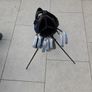 Golf Clubs Image 3
