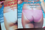 Beach Boys Old Vinyl
