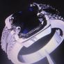 Man's Ring Image 4