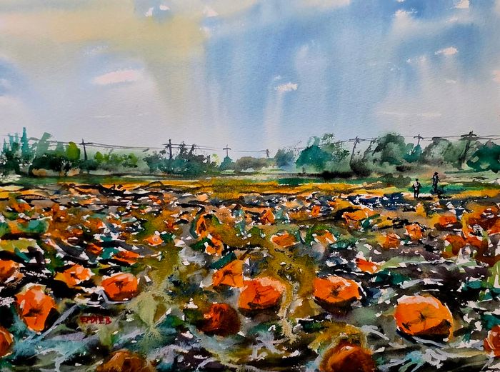 pumpkin field watercolour