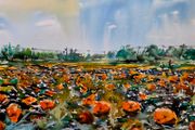 pumpkin field watercolour
