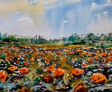 pumpkin field watercolour