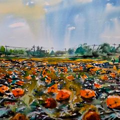 pumpkin field watercolour