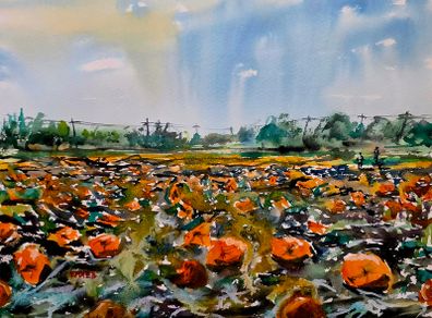 pumpkin field watercolour