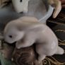 Vintage Nao by Lladro. Girl with rabbits. 1987.  #1026 Image 10