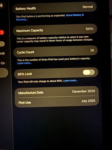 iPad Air 11 M3 (256gb)