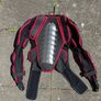 Body Armour / Body Protector Shirt for Mountain biking Image 2