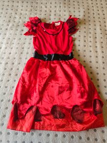 Halloween Fancy Dress Age 7-10