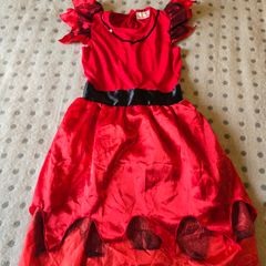 Halloween Fancy Dress Age 7-10