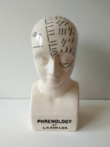 phrenology bust