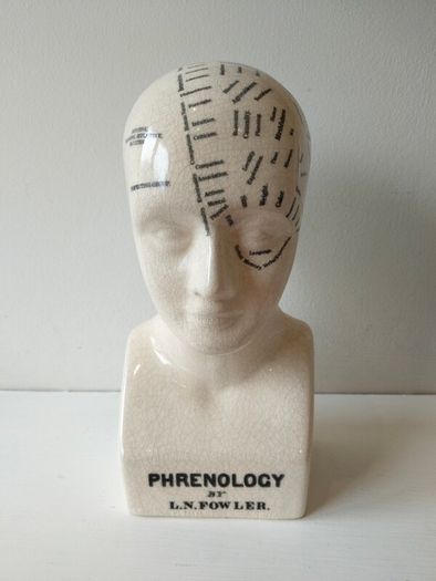 phrenology bust