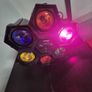 ProSound L53AG 6 Colour Disco / Party Light Image 3