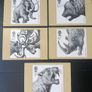 2002 Classic Prehistoric PHQ Card Set Image 2