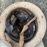 Original WW2 British Mk2 Steel Helmet. Desert Camouflage. Original Liner & Chinstrap. Militaria Image 4