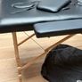 Beauty Massage Bed Professional Portable Physiotherapy Tattoo bed Image 9