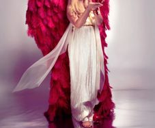 Ostrich feather wings