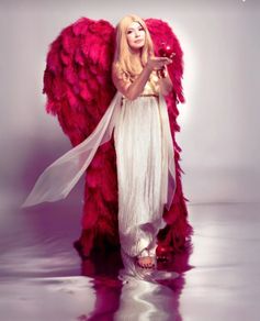 Ostrich feather wings