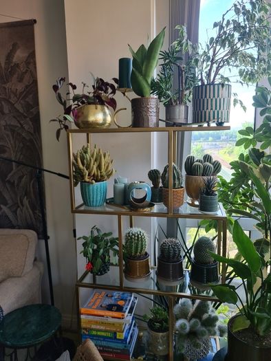 Avoca Gold Metal and Glass Display Shelf