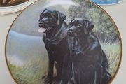 Nigel Hemming wall plate Sporting Companions
