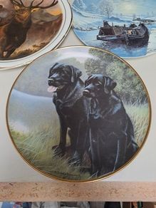 Nigel Hemming wall plate Sporting Companions