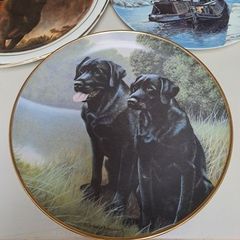Nigel Hemming wall plate Sporting Companions