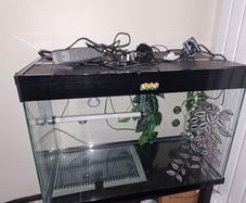 Leopard Gecko Vivarium / Reptile Tank , Full Setup