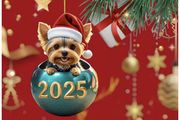 Christmas Decoration