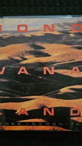 Gondwanaland - Terra Incognita.