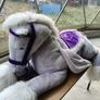 Stuffed horse Image 2