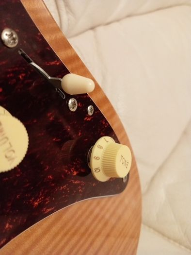 sire Larry carlton s7