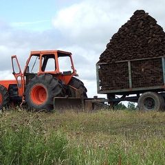 Turf and hardwood firewood for sale