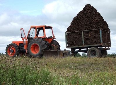 Turf and hardwood firewood for sale