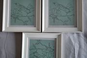 Picture Frames