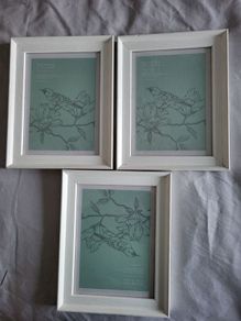 Picture Frames