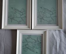 Picture Frames