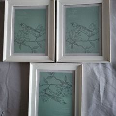 Picture Frames