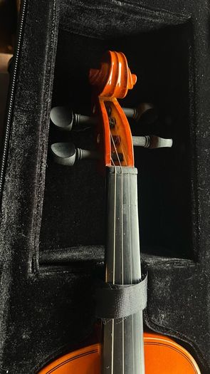 Violin + Case