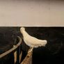 Polish bantam Image 3