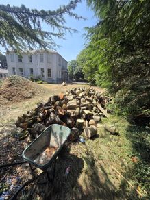 fire wood