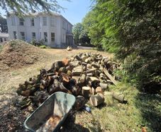 fire wood