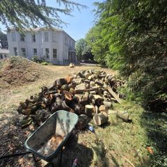 fire wood