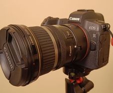 Canon EOS R Mirrorless