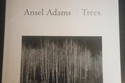 Ansel Adams - Trees -