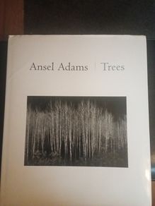 Ansel Adams - Trees -