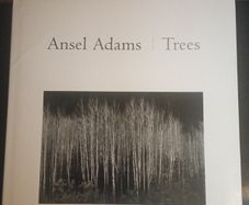 Ansel Adams - Trees -