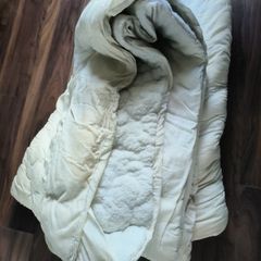 Pet Bedding