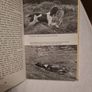Training Spaniels  .Joe Irving Image 6